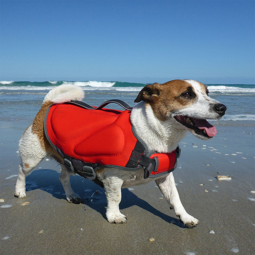 DOG LIFE VESTS