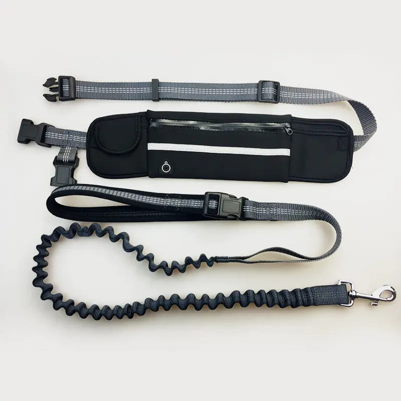 HANDSFREE BUNGEE DOG LEASH