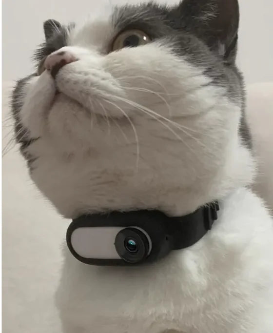 DOG WIRELESS COLLAR CAM