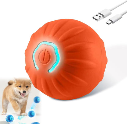 ACTIVE PET PLAY ORB