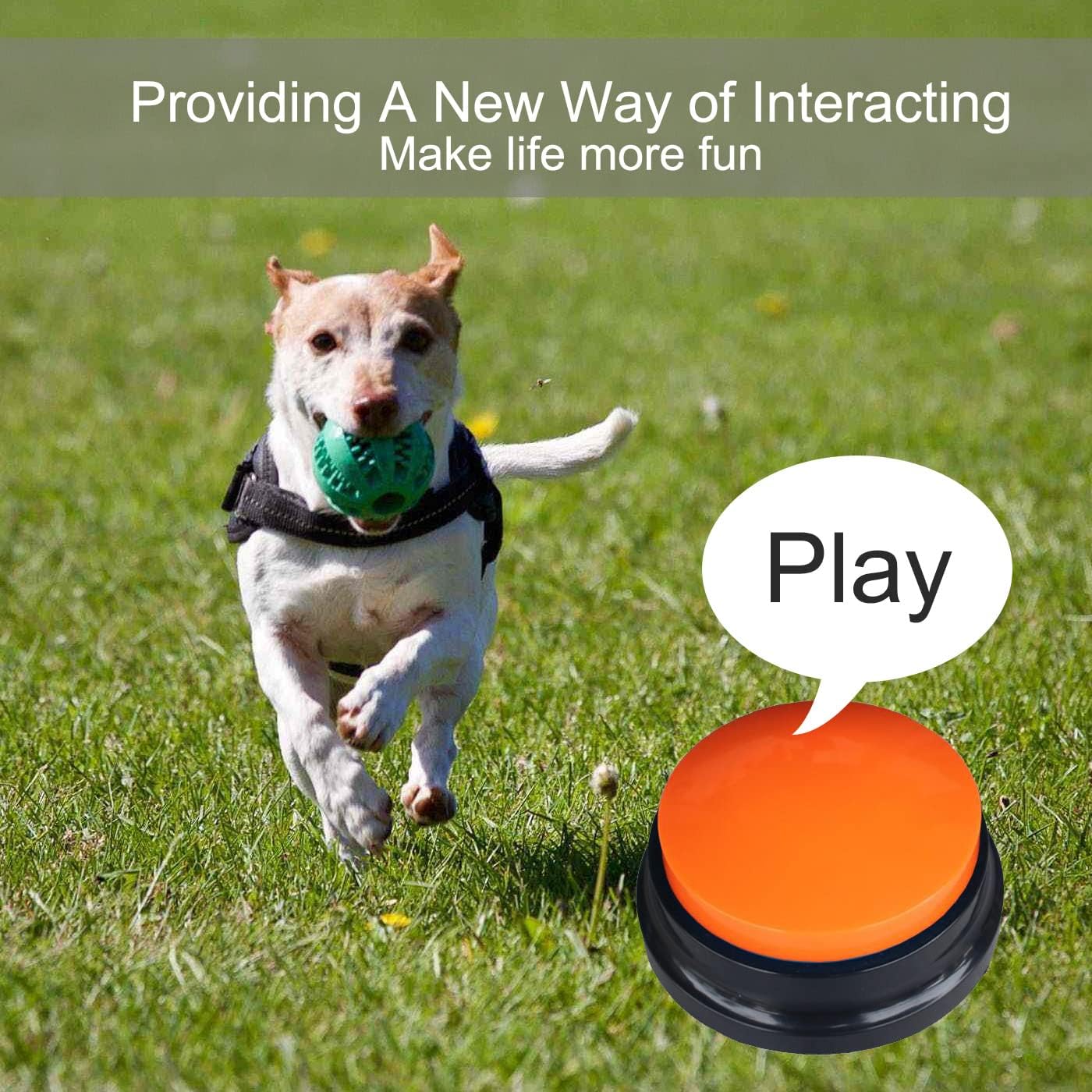 INTERACTIVE DOG PERSONALIZED SOUND BUTTONS