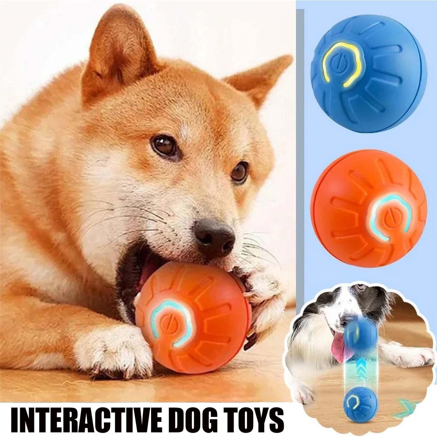 ACTIVE PET PLAY ORB