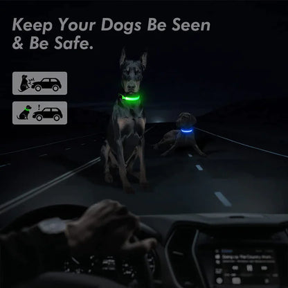 LED ADJUSTABLE DOG COLLAR