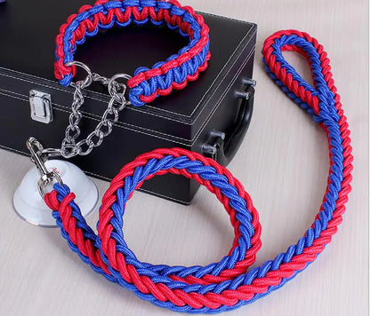 DURABLE LEASH SET FOR LARGE DOGS