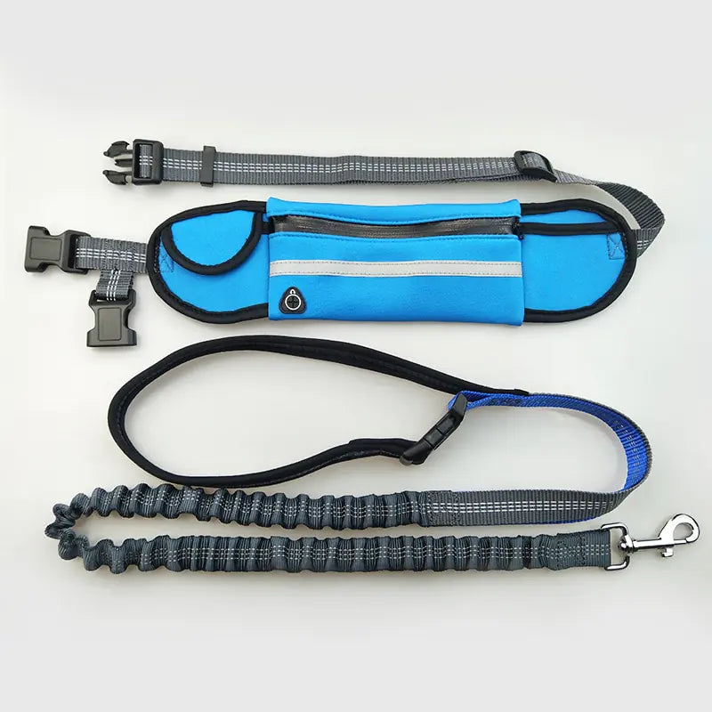 HANDSFREE BUNGEE DOG LEASH