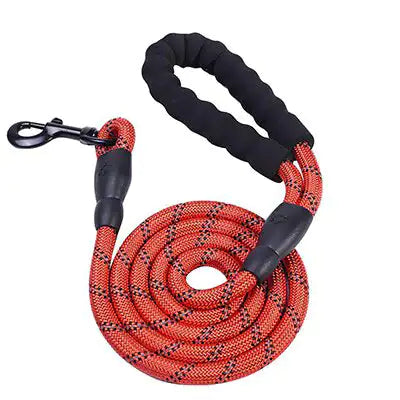 LUMINOUS SAFETY DOG LEASH