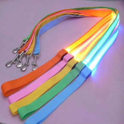 GLOWBRIGHT LED DOG LEASH