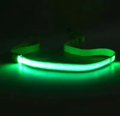 GLOWBRIGHT LED DOG LEASH