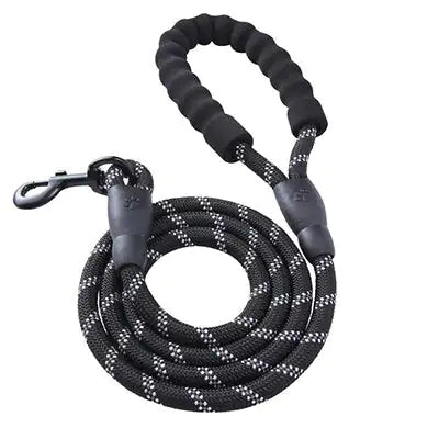 LUMINOUS SAFETY DOG LEASH