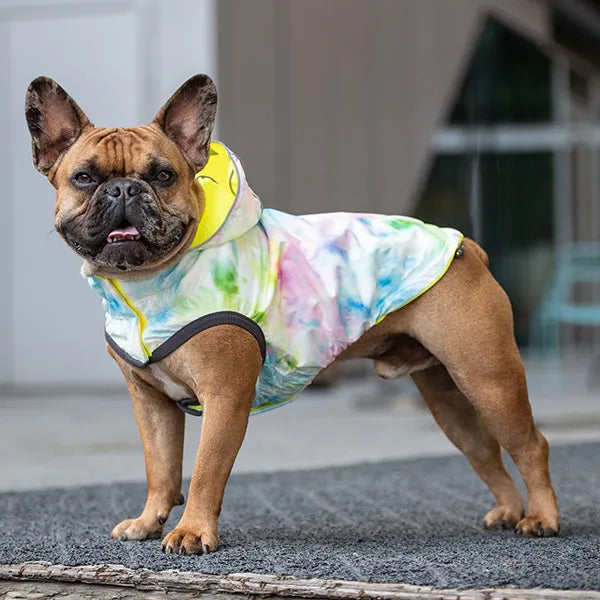 DUAL-SIDE DOG RAINCOAT - NEON AND TIE-DYE