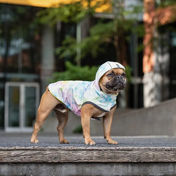 DUAL-SIDE DOG RAINCOAT - NEON AND TIE-DYE