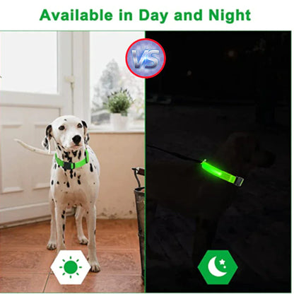 LED ADJUSTABLE DOG COLLAR