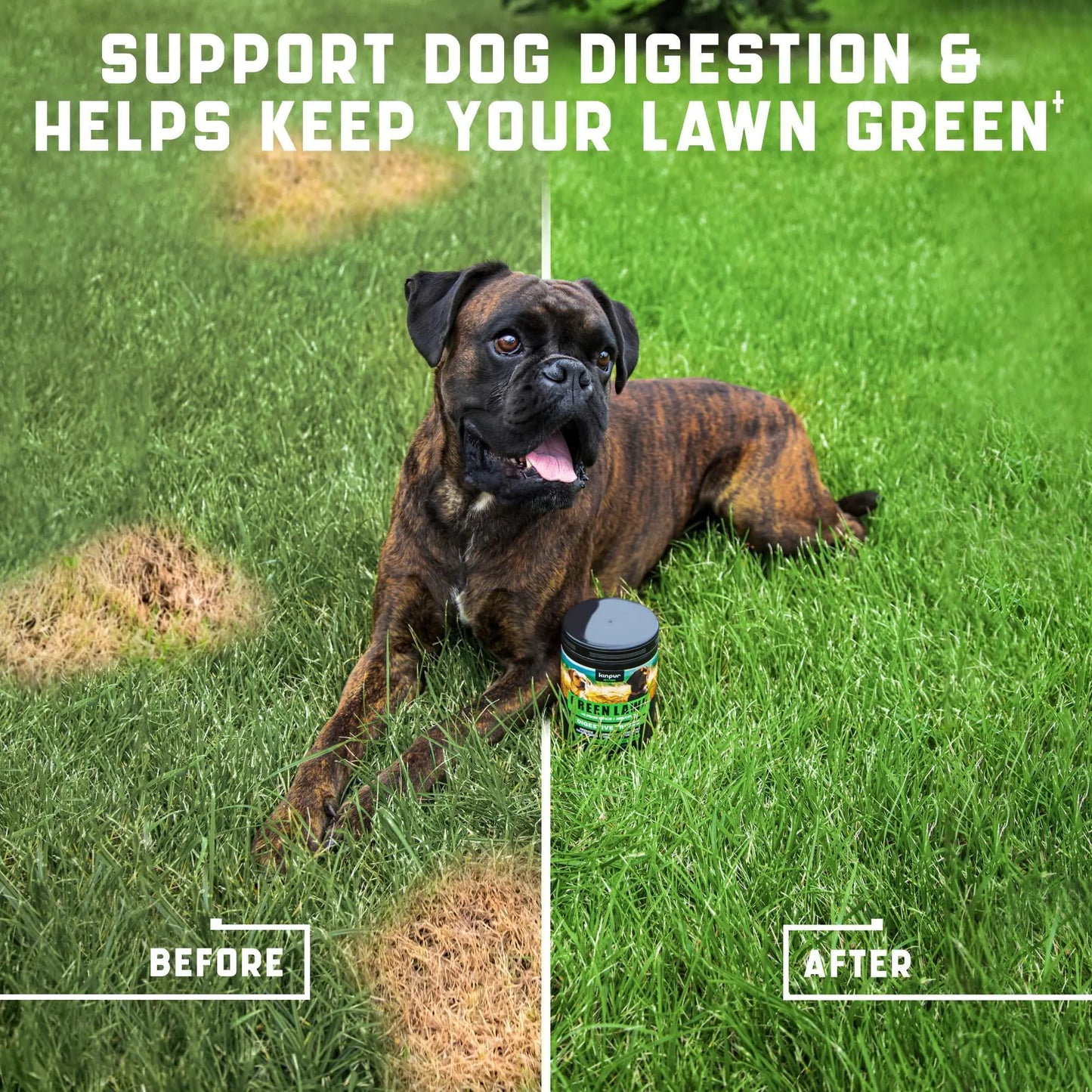 LAWN PROTECT DOG CHEWS WITH CRANBERRY & ACV