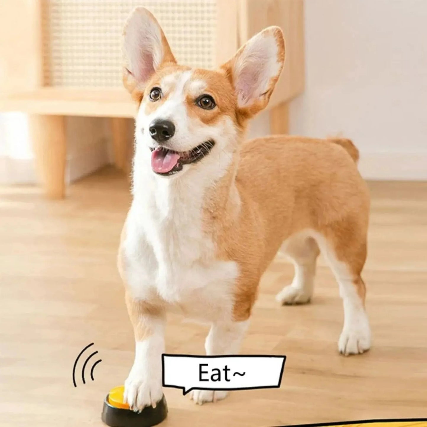 INTERACTIVE DOG PERSONALIZED SOUND BUTTONS