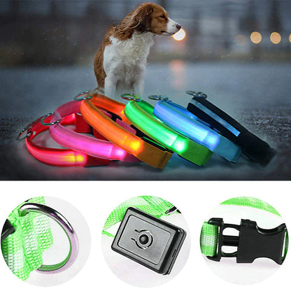 LED ADJUSTABLE DOG COLLAR