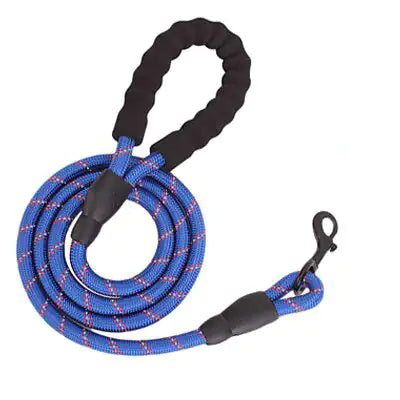 LUMINOUS SAFETY DOG LEASH