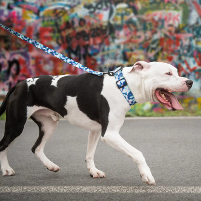 Tie Dye Nylon Dog Leash