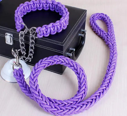 DURABLE LEASH SET FOR LARGE DOGS